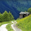 34 Fotozirkel Mannheim e.V. Ulrike Misera